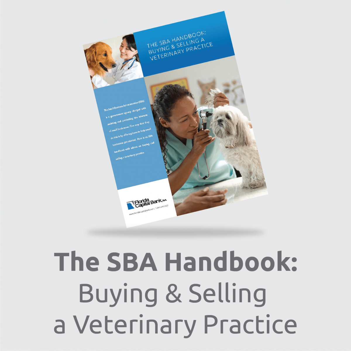 Vet eBook PDF Download